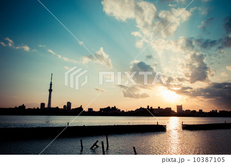 夕景の荒川河川敷とスカイツリー 夕景の荒川河川敷とスカイツリー 10387105