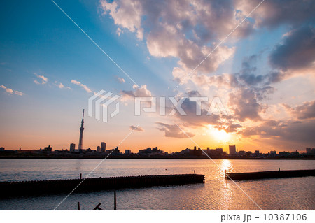 夕景の荒川河川敷とスカイツリー 夕景の荒川河川敷とスカイツリー 10387106