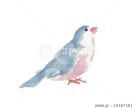 青色の小鳥のイラストのイラスト素材