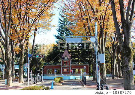 杉並児童交通公園 杉並児童交通公園 10387276