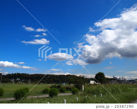 多摩川 多摩川 10387290