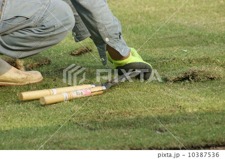 芝生の張り付け工事･作業の様子 10387536