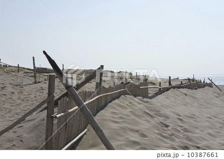 砂丘 砂丘 10387661