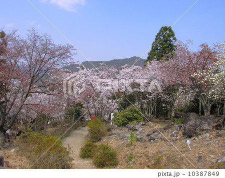 立雲峡 10387849