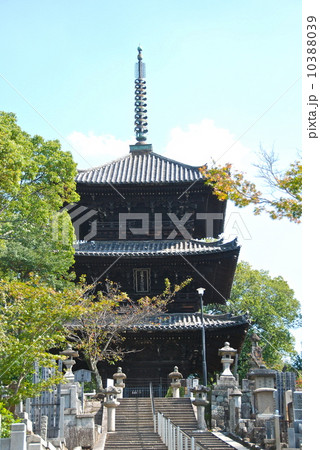 金戒光明寺の「三重塔(文殊塔)」（京都府京都市左京区黒谷町） 10388039