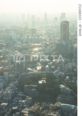 東京の夕暮れ 10388552