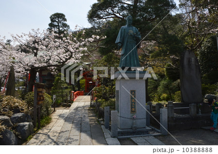 高幡不動尊の春 日野市 高幡不動尊の春 日野市 10388888