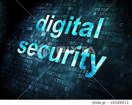 Privacy concept: Digital Security on digital background 10388913