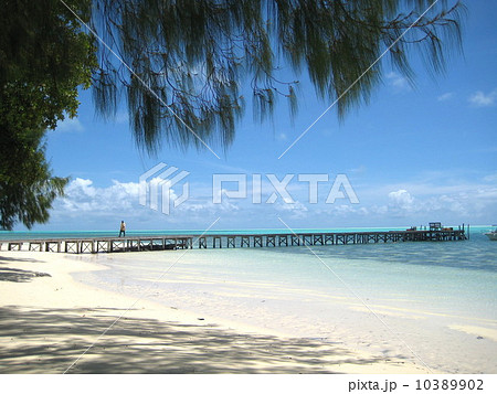 ミルキーウェイ、パラオ、泥パック 10389902