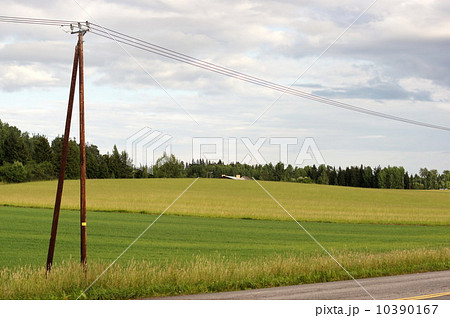power line 10390167