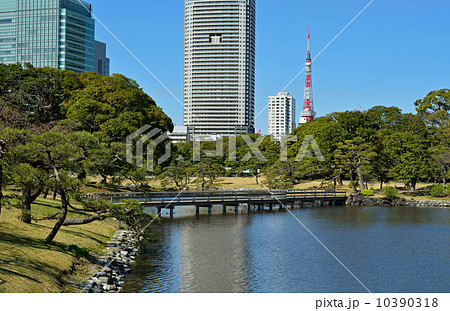 浜離宮恩賜庭園 潮入の池 横堀 の写真素材