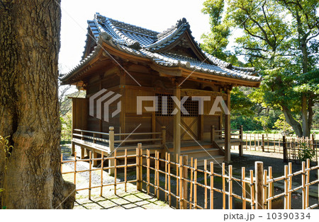 浜離宮恩賜庭園・旧稲生神社 浜離宮恩賜庭園・旧稲生神社 10390334