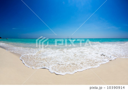 tropical sea 10390914