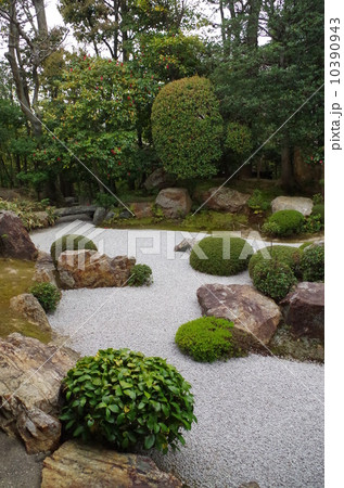 退蔵院の元信の庭 10390943