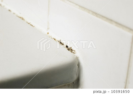 Mould in a bathroom 10391650
