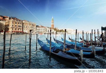 Gondolas on Grand Canal and St Marks Tower Gondolas on Grand Canal and St Marks Tower 10391843