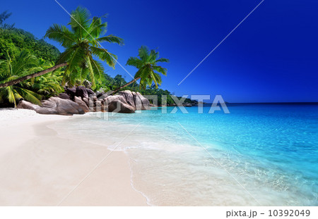 beach at Praslin island, Seychelles beach at Praslin island, Seychelles 10392049