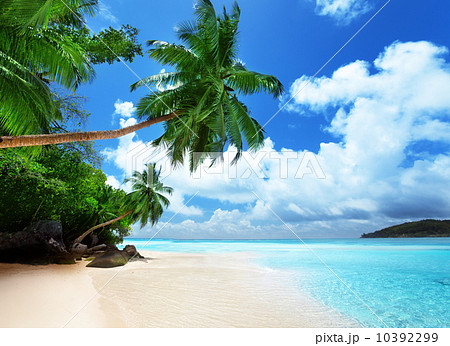 beach on Mahe island in Seychelles 10392299
