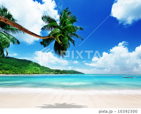 beach on Mahe island in Seychelles 10392300