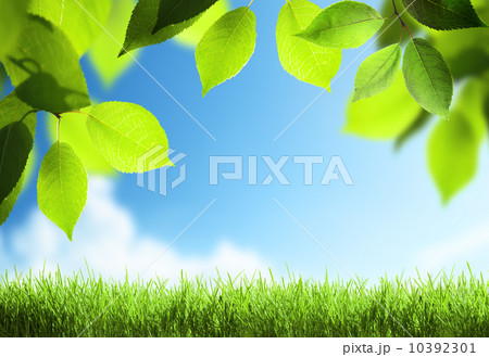 spring sunny background 10392301