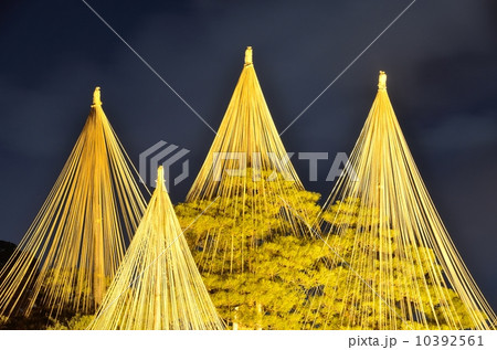 兼六園・雪つり【横】 兼六園・雪つり【横】 10392561