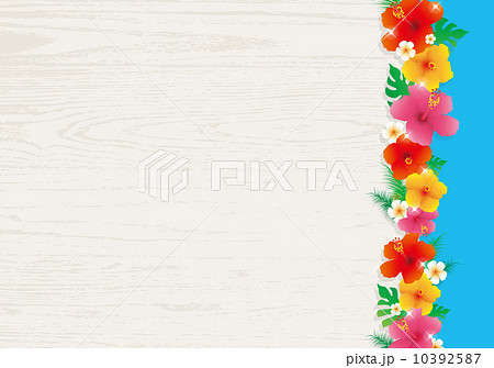 ハイビスカス 10392587