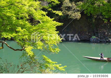 春の京都嵐山 10393606
