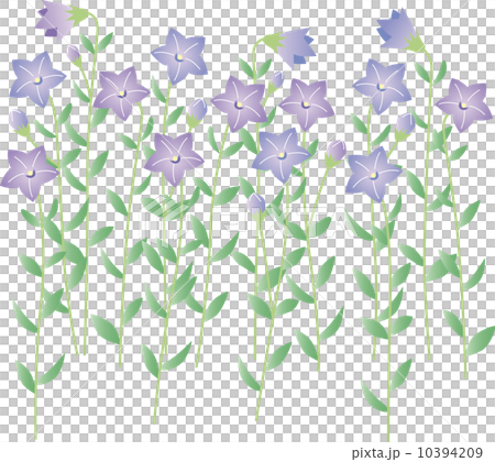 Flower Garden 14-A Chinese Flower Garden 10394209