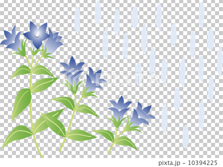 フラワーガーデン15-Aりんどう フラワーガーデン15-Aりんどう 10394225