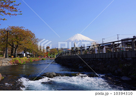 4月風景・富士山423富士山本宮浅間大社 4月風景・富士山423富士山本宮浅間大社 10394310