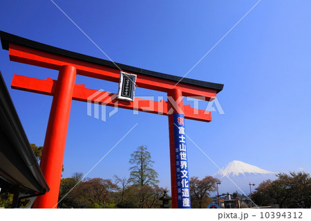 4月風景・富士山421富士山本宮浅間大社の鳥居と富士山 10394312