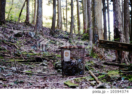 森のゴミ箱 10394374