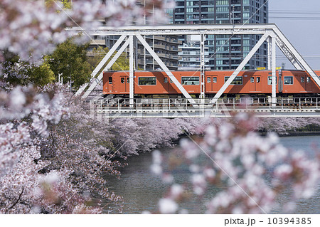 大川の桜と大阪環状線 10394385