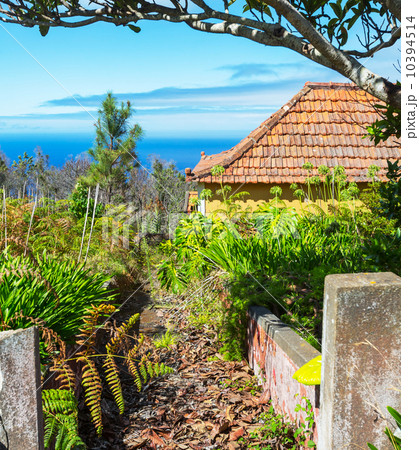 Madeira 10394514