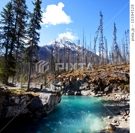 Canadian mountains Canadian mountains 10394529