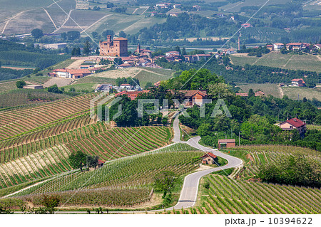 Rural road on the hills in Piedmont, Italy. 10394622