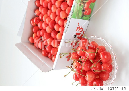 おいしそうなさくらんぼ 10395116