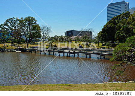 浜離宮恩賜庭園・潮入の池(横堀)と海手お伝い橋 浜離宮恩賜庭園・潮入の池(横堀)と海手お伝い橋 10395295