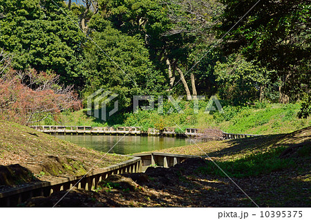 浜離宮恩賜庭園・庚申堂鴨場 10395375
