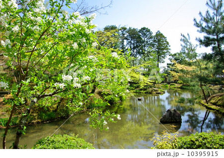 等持院・心字池 等持院・心字池 10395915
