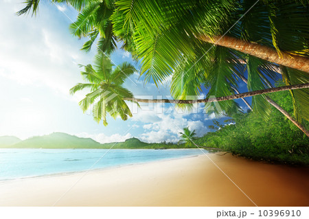 sunset on beach Anse Takamaka of Mahe island, seychelles 10396910