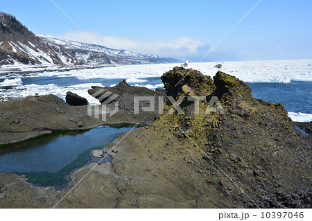 流氷と天狗岩 10397046