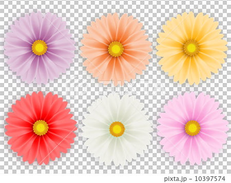 ガーベラ ガーベラ 10397574