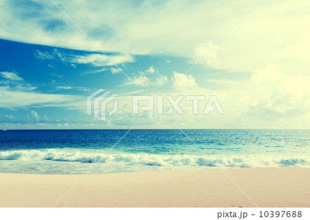 tropical beach 10397688