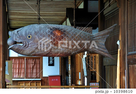 京都萬福寺の庭園風景 10398610