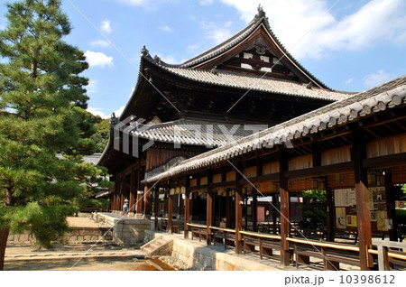 京都萬福寺の庭園風景 10398612