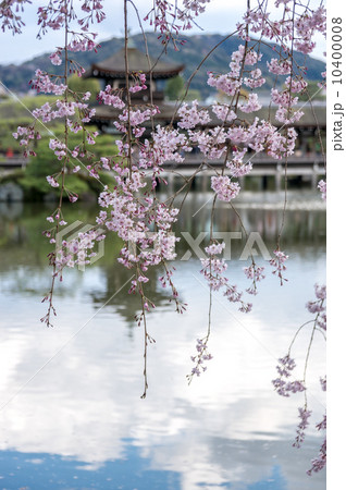 平安神宮神苑 10400008