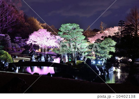 二条城清流園 二条城清流園 10402138