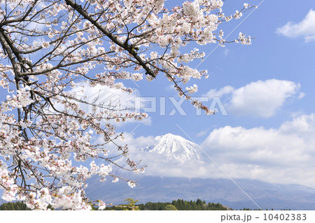 春の富士山 春の富士山 10402383