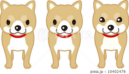 犬3種類のイラスト素材